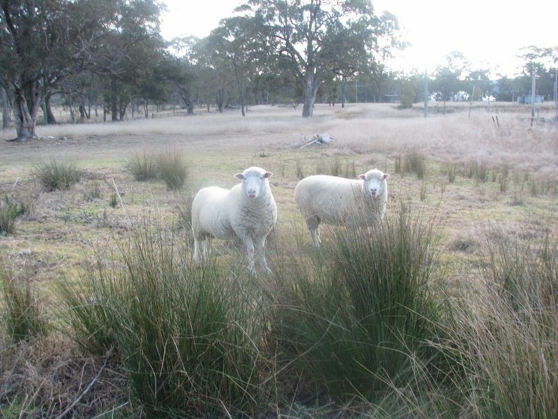 Ballandean QLD 4382