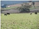 Maryvale QLD 4370