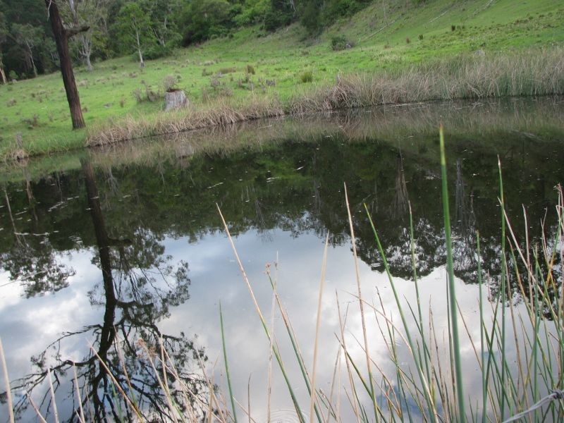 Koreelah NSW 2476
