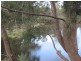Koreelah NSW 2476