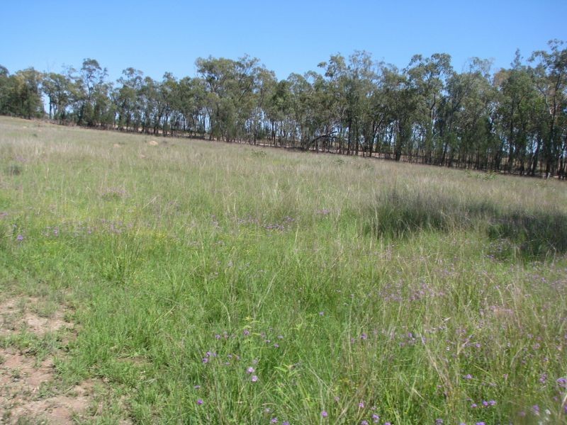 Lot 46 Stonehenge Road, Kooroongarra QLD 4357