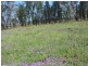 Lot 46 Stonehenge Road, Kooroongarra QLD 4357