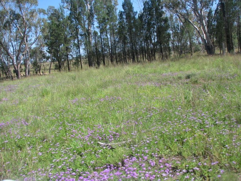 Lot 46 Stonehenge Road, Kooroongarra QLD 4357