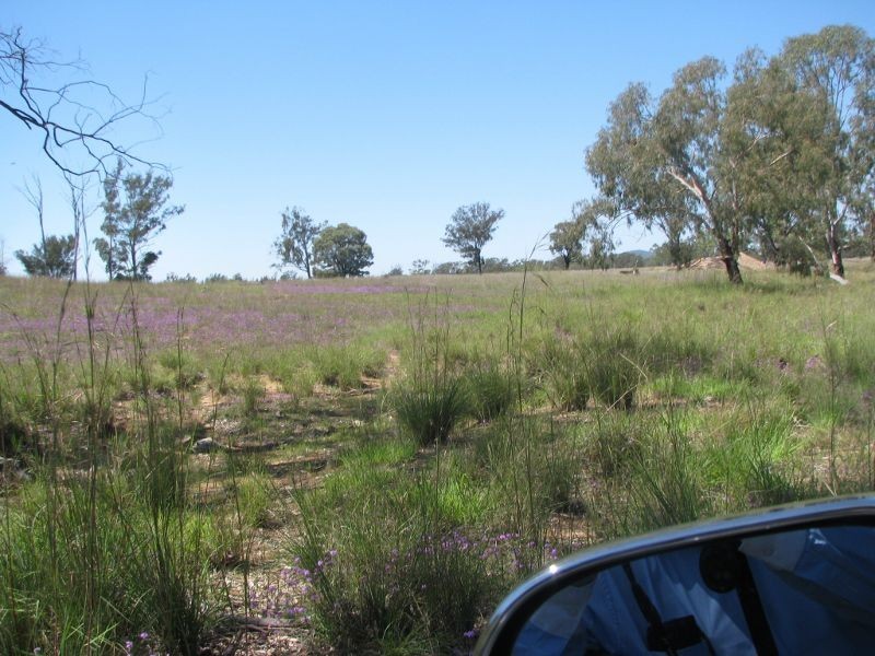 Lot 46 Stonehenge Road, Kooroongarra QLD 4357