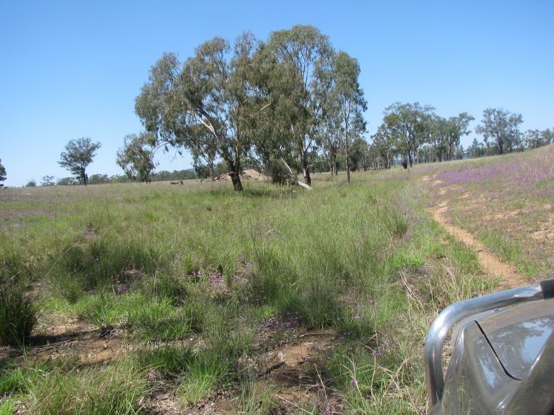 Lot 46 Stonehenge Road, Kooroongarra QLD 4357