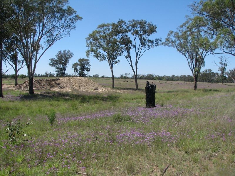 Lot 46 Stonehenge Road, Kooroongarra QLD 4357