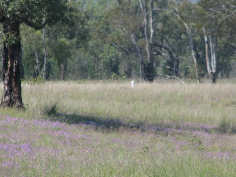 Lot 46 Stonehenge Road, Kooroongarra QLD 4357