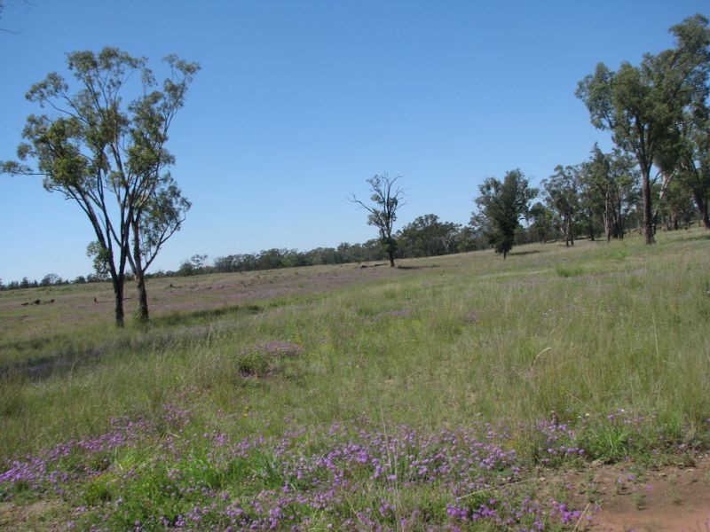 Lot 46 Stonehenge Road, Kooroongarra QLD 4357