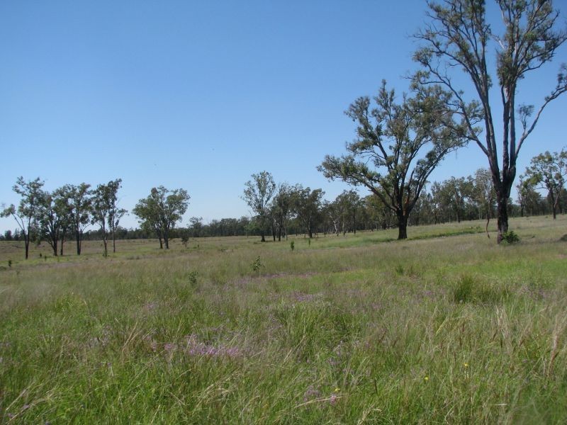 Lot 46 Stonehenge Road, Kooroongarra QLD 4357