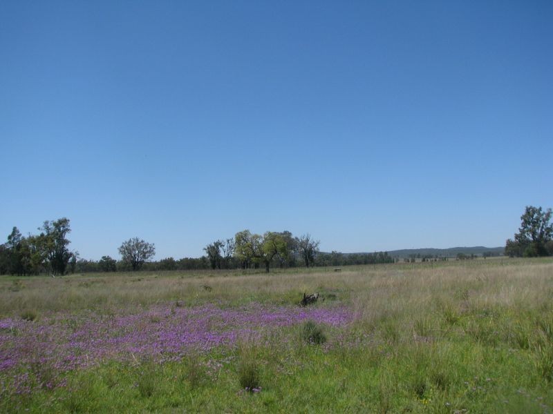 Lot 46 Stonehenge Road, Kooroongarra QLD 4357