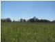 Lot 46 Stonehenge Road, Kooroongarra QLD 4357