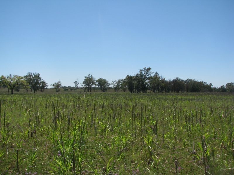 Lot 46 Stonehenge Road, Kooroongarra QLD 4357
