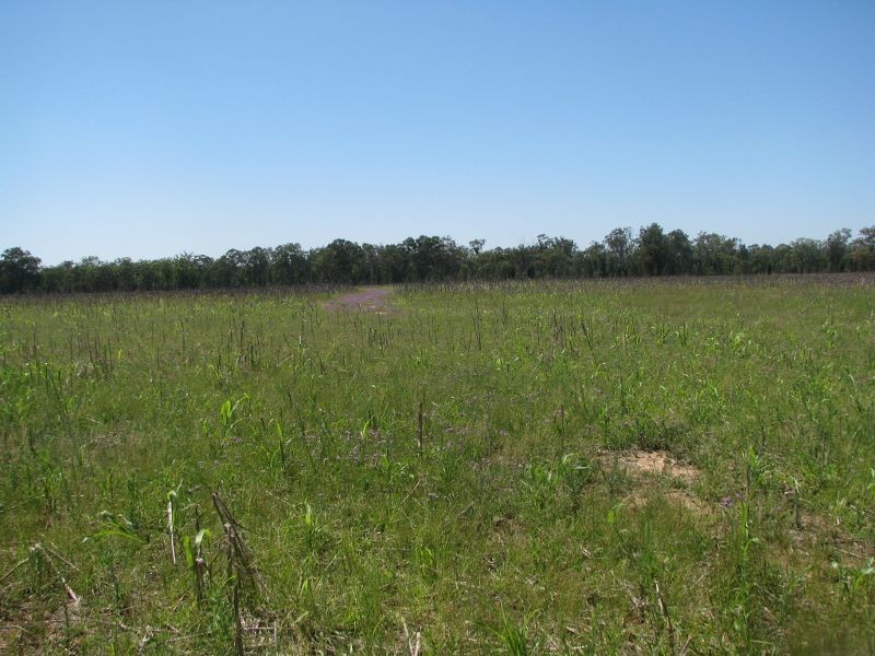 Lot 46 Stonehenge Road, Kooroongarra QLD 4357