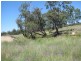 Lot 46 Stonehenge Road, Kooroongarra QLD 4357