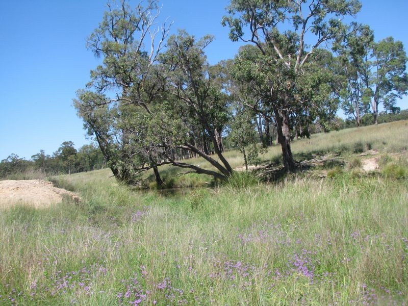 Lot 46 Stonehenge Road, Kooroongarra QLD 4357