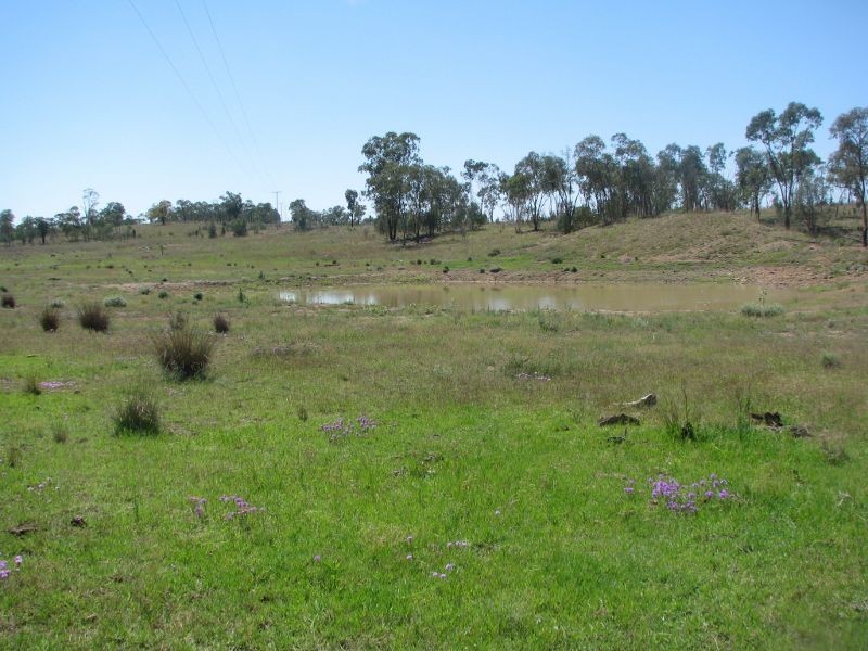 Lot 46 Stonehenge Road, Kooroongarra QLD 4357