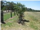 25555 New England Highway, Applethorpe QLD 4378