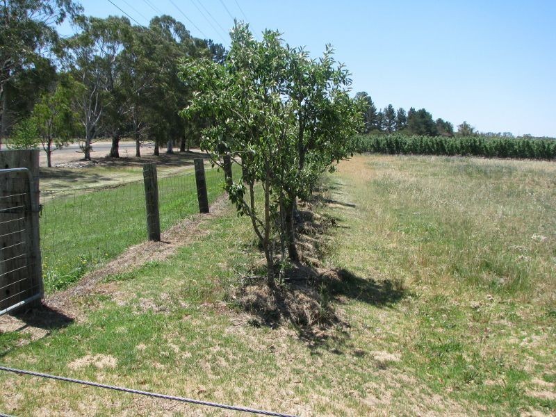 25555 New England Highway, Applethorpe QLD 4378