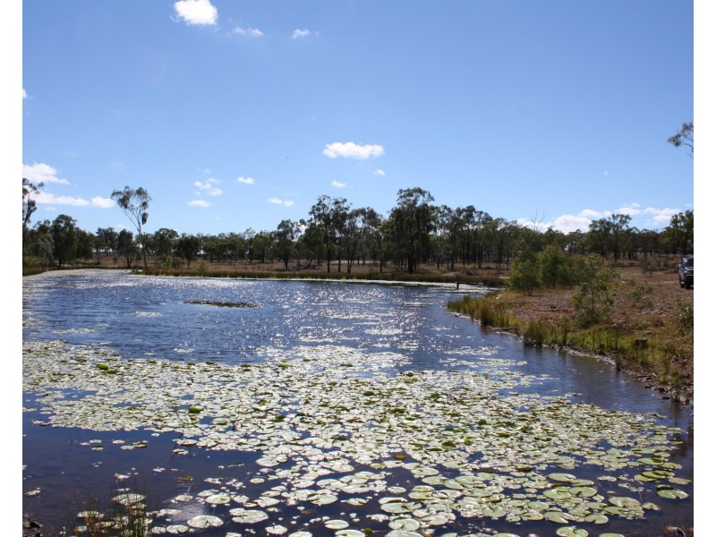 18324 Cunningham Highway, Karara QLD 4352