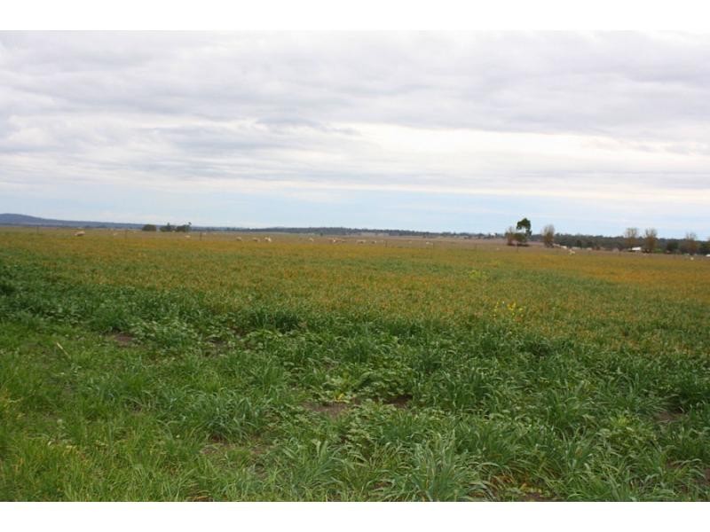 195 Cranitch Road, Elphinstone, Clifton QLD 4361