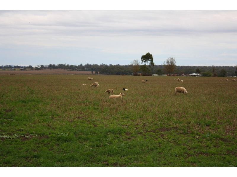 195 Cranitch Road, Elphinstone, Clifton QLD 4361