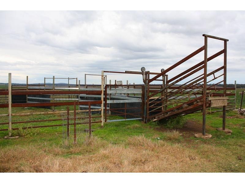 195 Cranitch Road, Elphinstone, Clifton QLD 4361