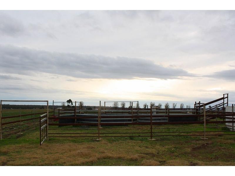 195 Cranitch Road, Elphinstone, Clifton QLD 4361