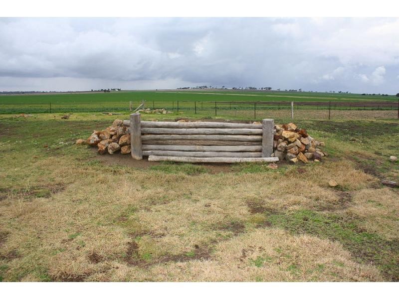 195 Cranitch Road, Elphinstone, Clifton QLD 4361