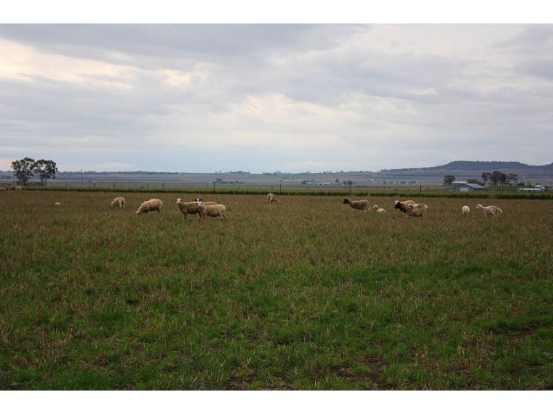 195 Cranitch Road, Elphinstone, Clifton QLD 4361