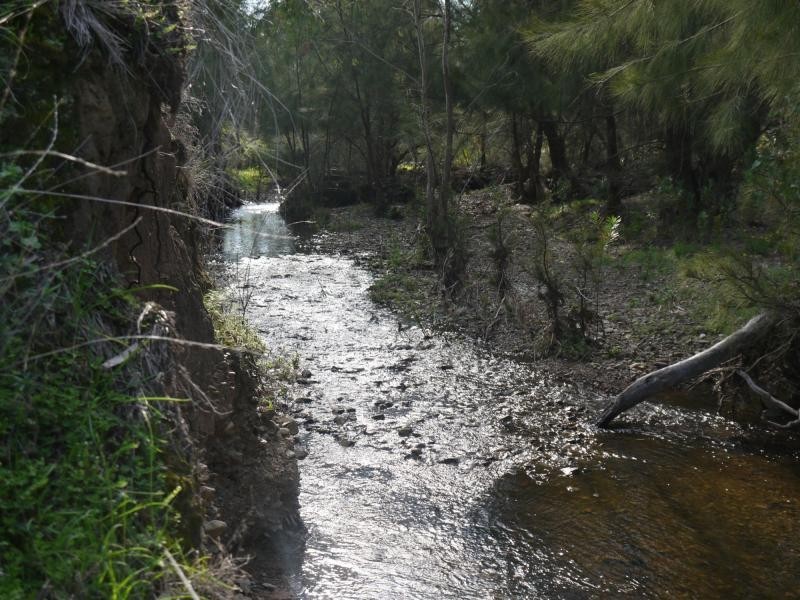 57 Fairleigh Road, Texas NSW 4385