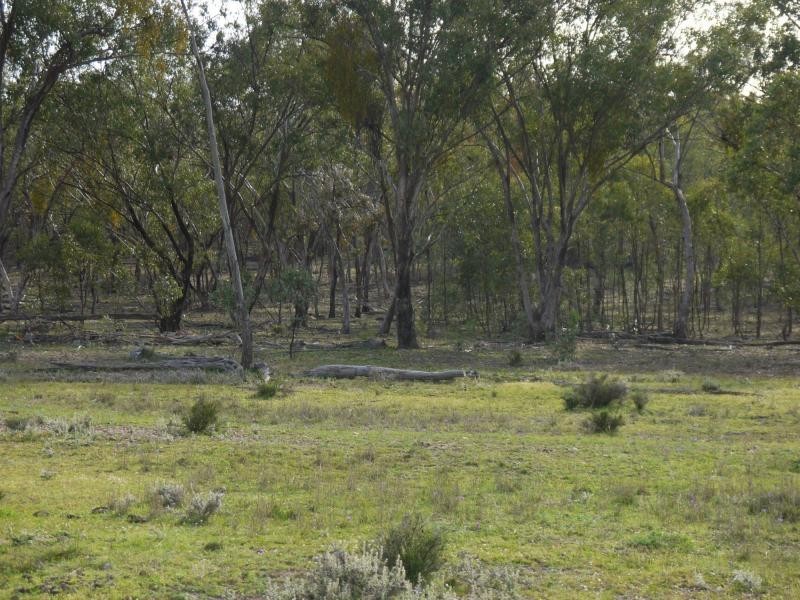 57 Fairleigh Road, Texas NSW 4385