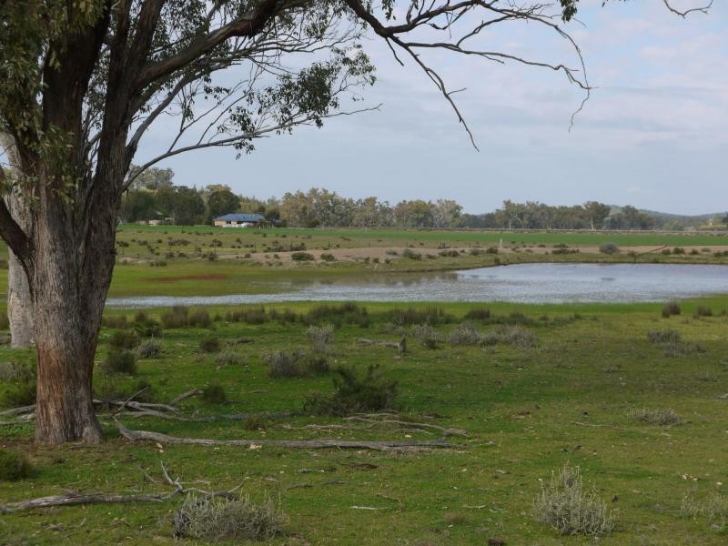 57 Fairleigh Road, Texas NSW 4385