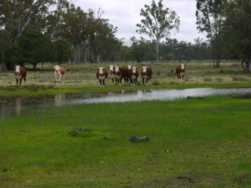 57 Fairleigh Road, Texas NSW 4385