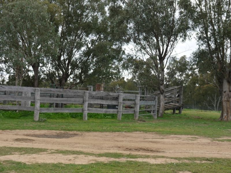 57 Fairleigh Road, Texas NSW 4385