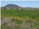 Lot 29 Paynes Road, Freestone QLD 4370