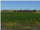 Lot 29 Paynes Road, Freestone QLD 4370