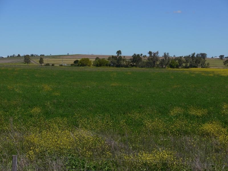 Lot 29 Paynes Road, Freestone QLD 4370