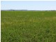 Lot 29 Paynes Road, Freestone QLD 4370
