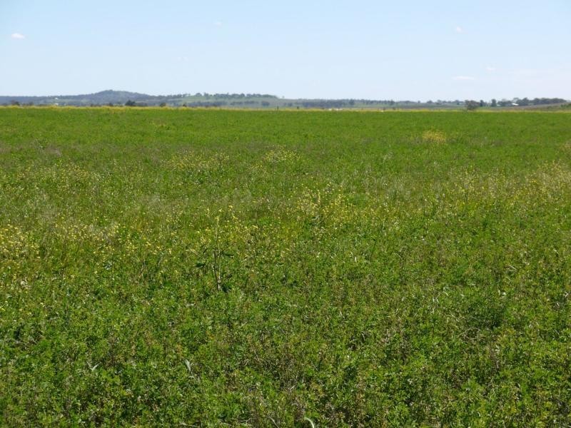 Lot 29 Paynes Road, Freestone QLD 4370