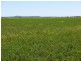 Lot 29 Paynes Road, Freestone QLD 4370