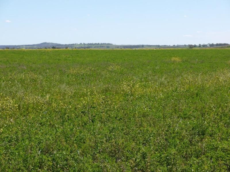 Lot 29 Paynes Road, Freestone QLD 4370