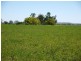 Lot 29 Paynes Road, Freestone QLD 4370