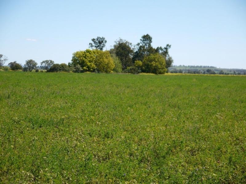 Lot 29 Paynes Road, Freestone QLD 4370