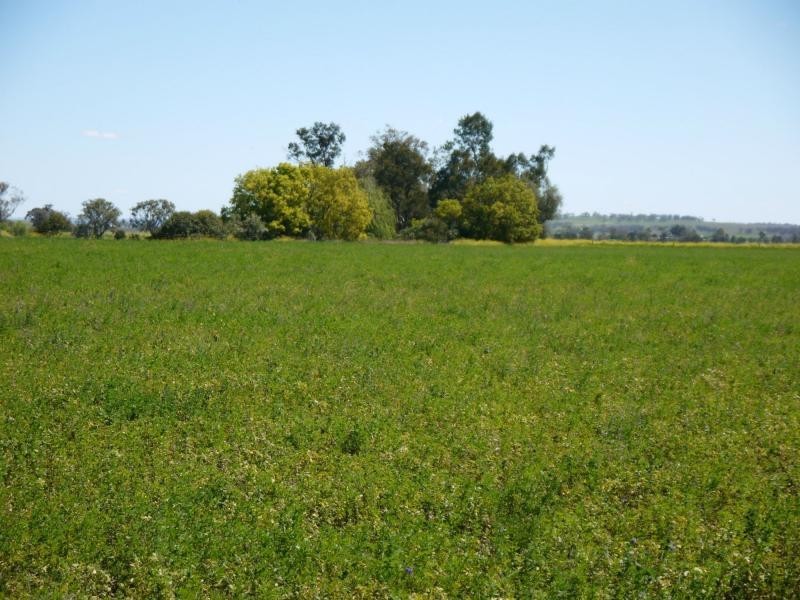 Lot 29 Paynes Road, Freestone QLD 4370