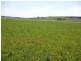 Lot 29 Paynes Road, Freestone QLD 4370
