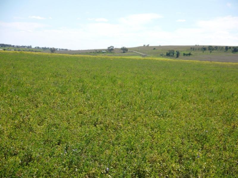Lot 29 Paynes Road, Freestone QLD 4370