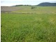 Lot 29 Paynes Road, Freestone QLD 4370