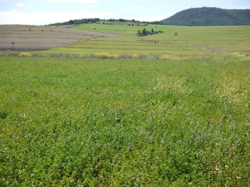 Lot 29 Paynes Road, Freestone QLD 4370