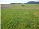 Lot 29 Paynes Road, Freestone QLD 4370