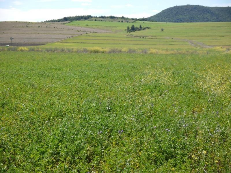 Lot 29 Paynes Road, Freestone QLD 4370
